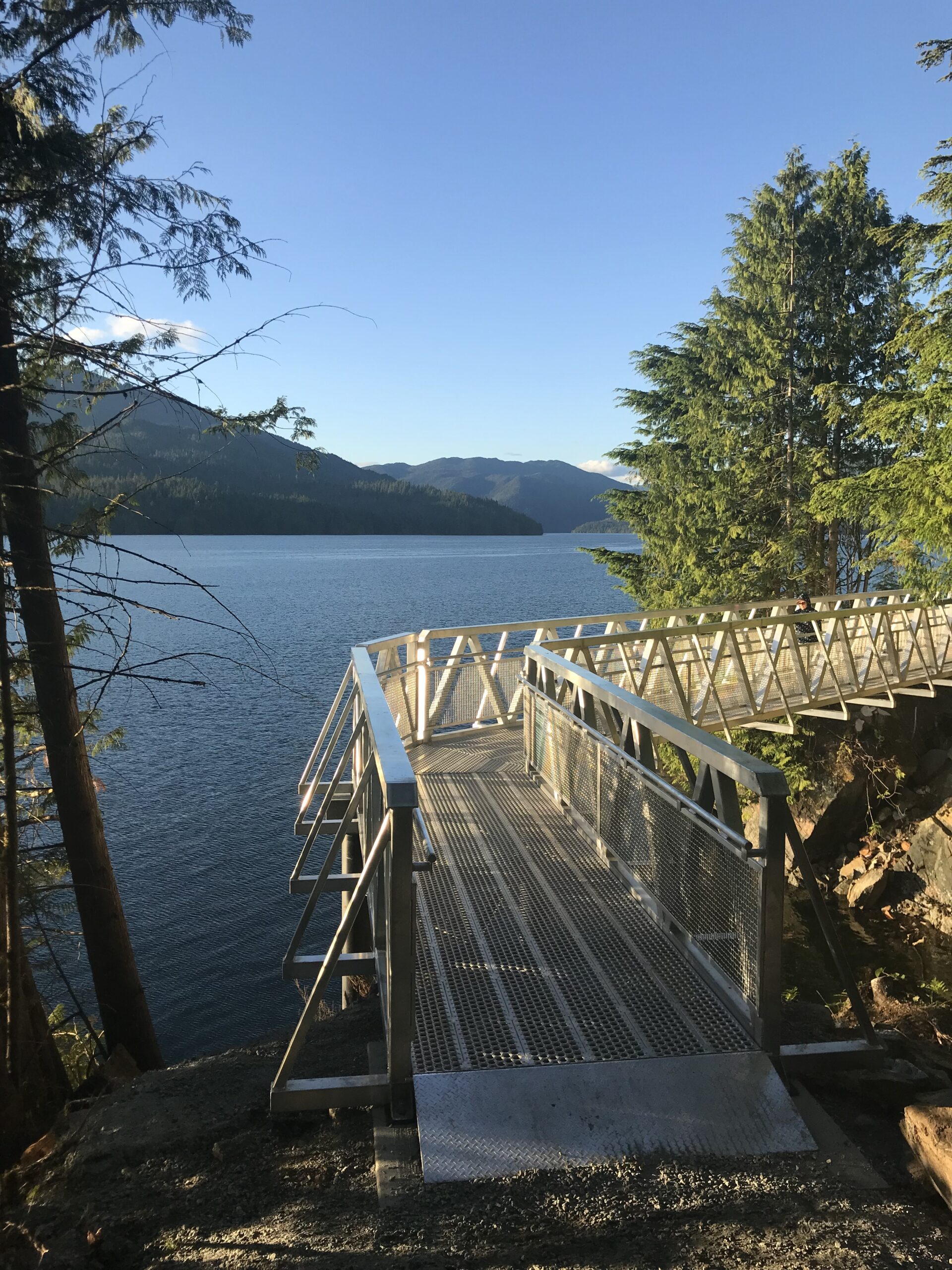 Metal suspension bridge on Rushbrook Trail on a sunny day overlooking the harbour